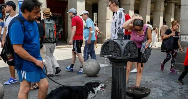 ஐரோப்பாவில்  பதிவான கடுமையான வெப்பம்- அதிக எண்ணிக்கையிலான மக்கள்  பலி